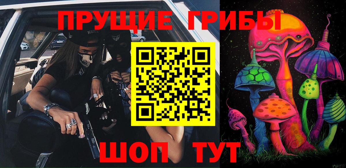Псилоцибиновые грибы мицелий Анжеро-Судженск