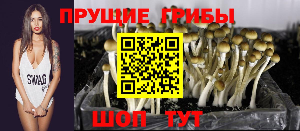 Анжеро-Судженск  Псилоцибиновые грибы Psilocybine cubensis  Вход с VPN  Галлюциногенные грибы MAGIC MUSHROOMS 